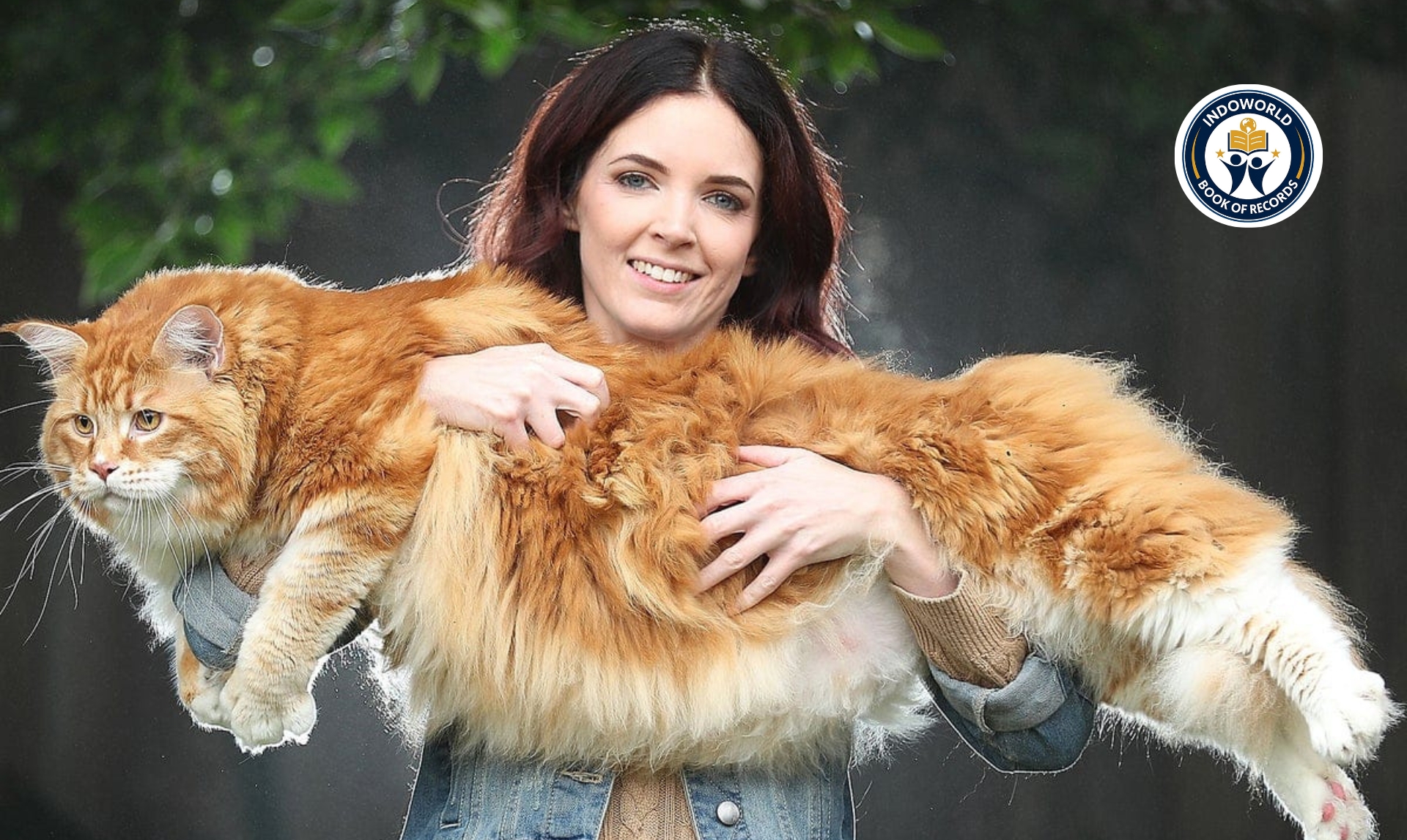 World Longest Cat
